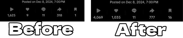 Before and After using TikTok SMM Panel